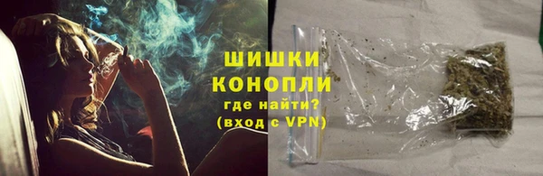 мет Ельня