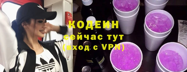 мет Ельня