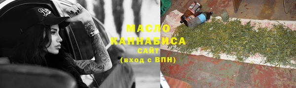 мет Ельня