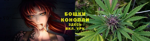 мет Ельня