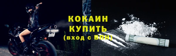 мет Ельня