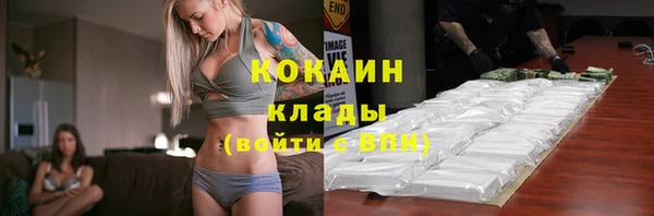 мет Ельня